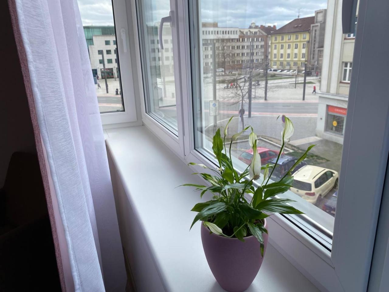 Perla Hradce 202 Appartement Hradec Králové Buitenkant foto